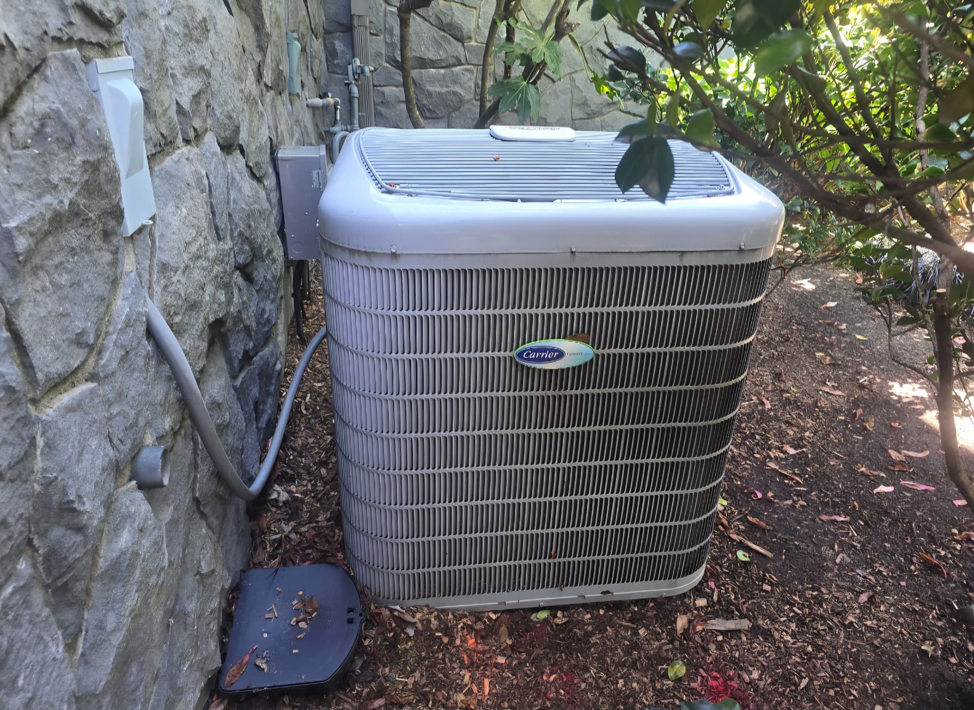 Carrier AC Tune-Up and Coil Cleaning in Lake Oswego image