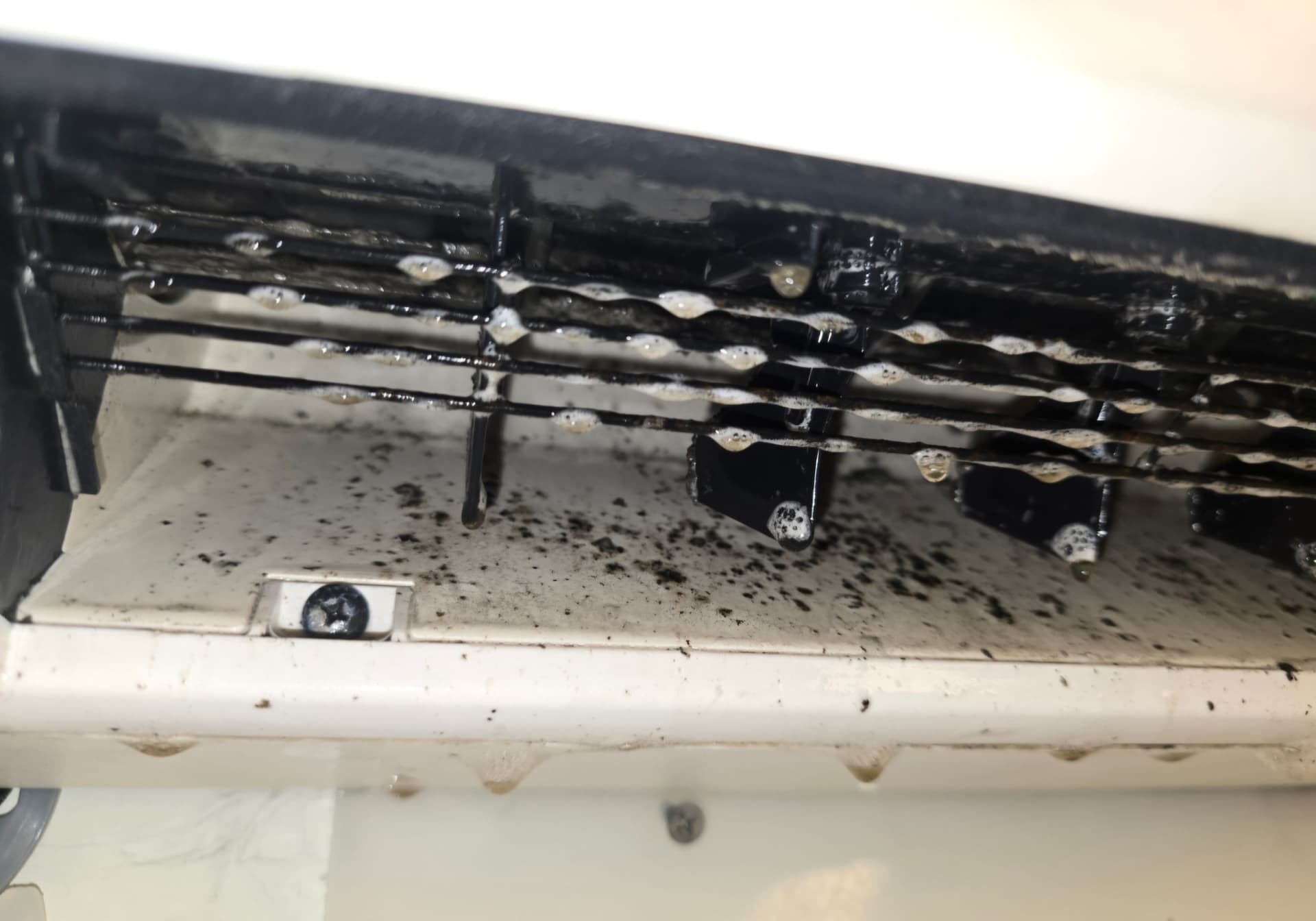 Gallery photos for LG Ductless Mini Split Deep Cleaning That Needed to Happen: Image #1