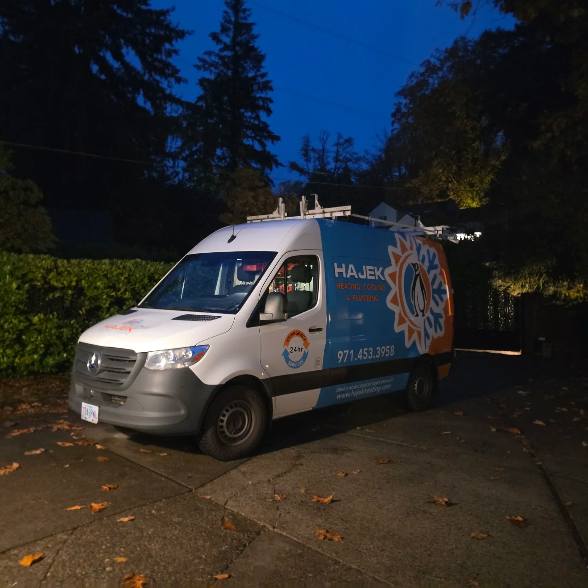 Gallery photos for Trane Gas Furnace Diagnostic in Portland's Sylvan Neighborhood: Image #1